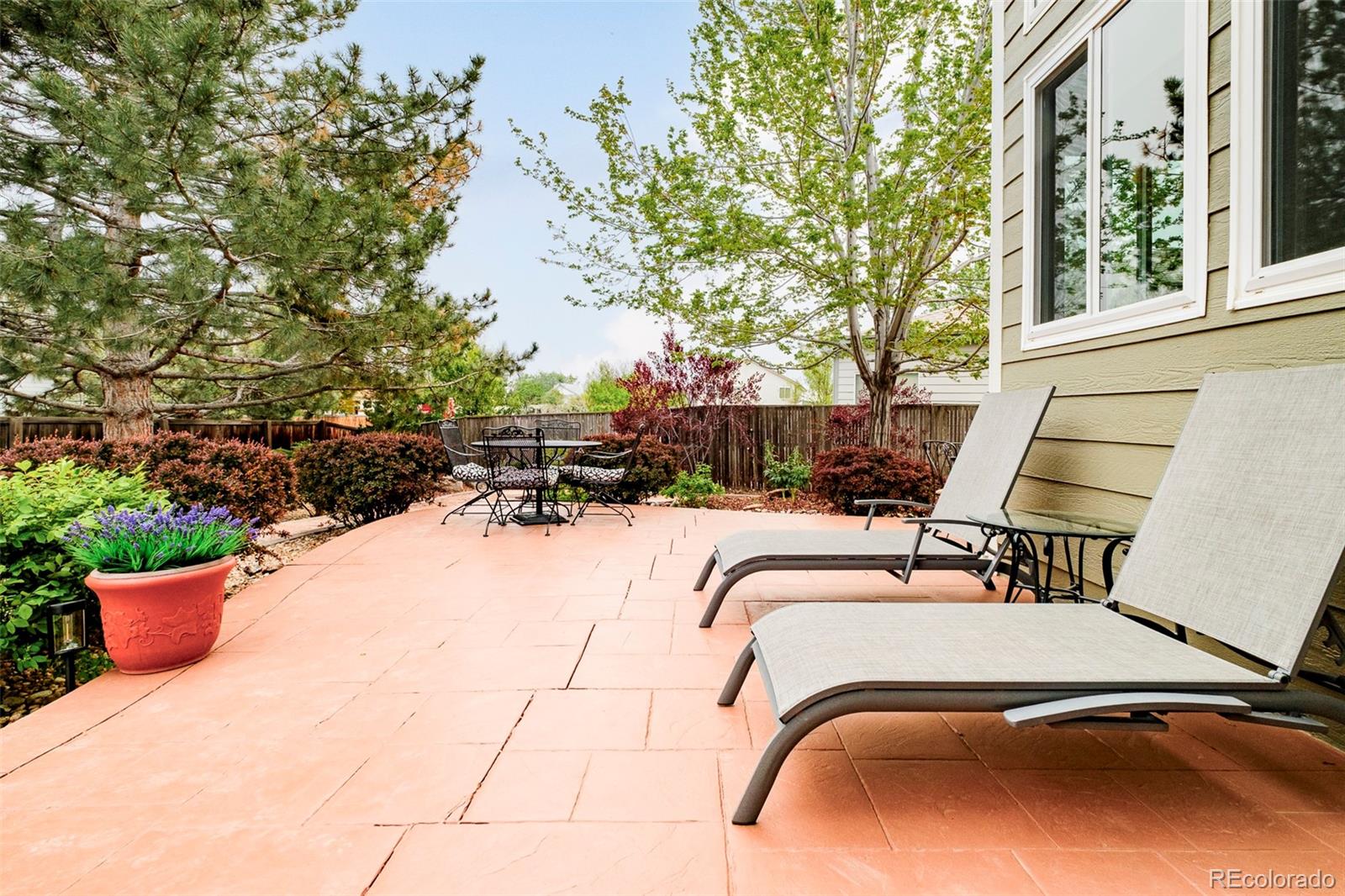 MLS Image #39 for 1210  snowberry lane,broomfield, Colorado