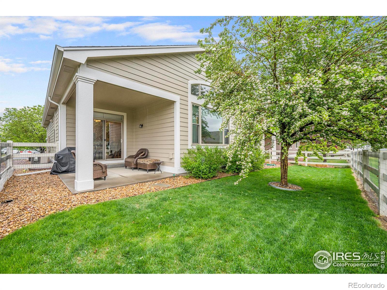 MLS Image #10 for 3428  widefield court,loveland, Colorado