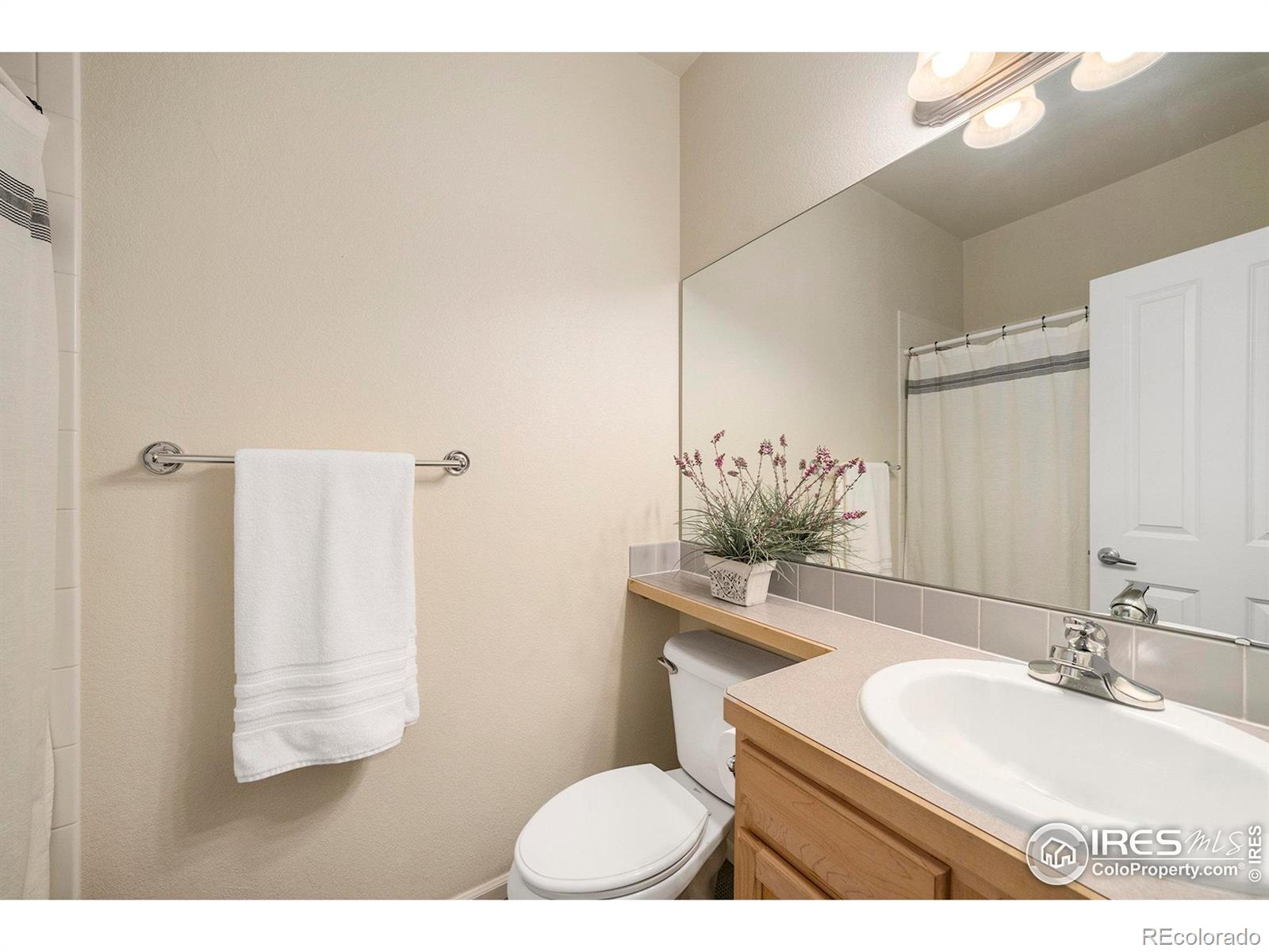MLS Image #13 for 3428  widefield court,loveland, Colorado