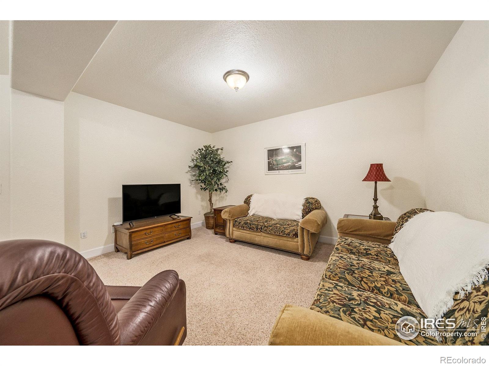 MLS Image #16 for 3428  widefield court,loveland, Colorado