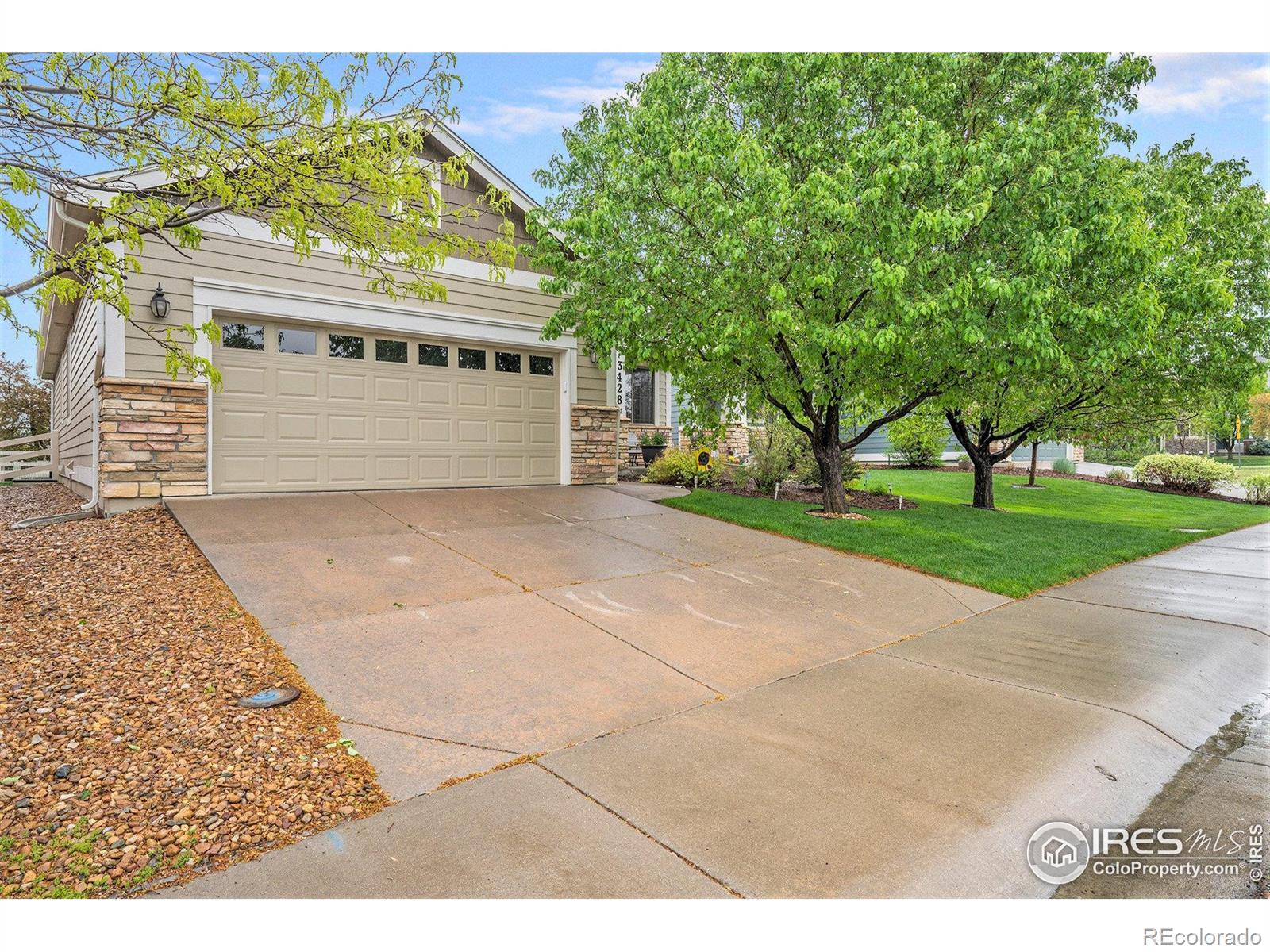MLS Image #24 for 3428  widefield court,loveland, Colorado
