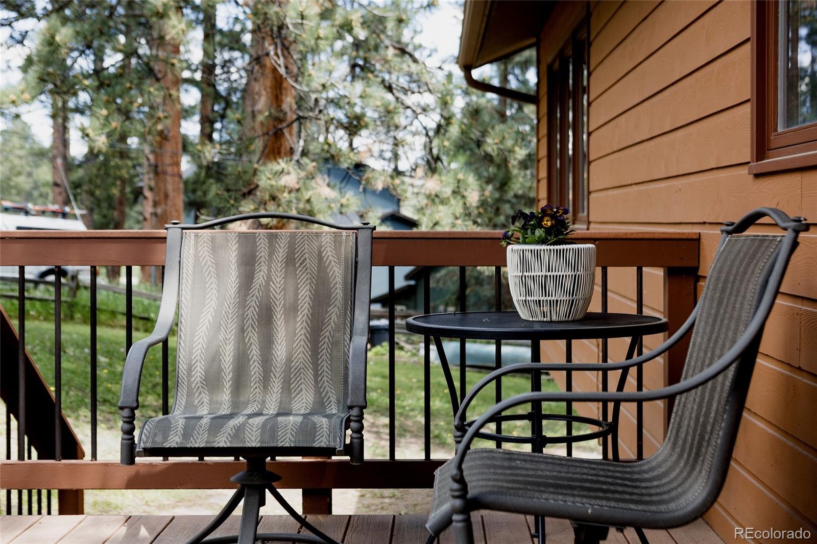 MLS Image #33 for 29101  drexel spur,evergreen, Colorado