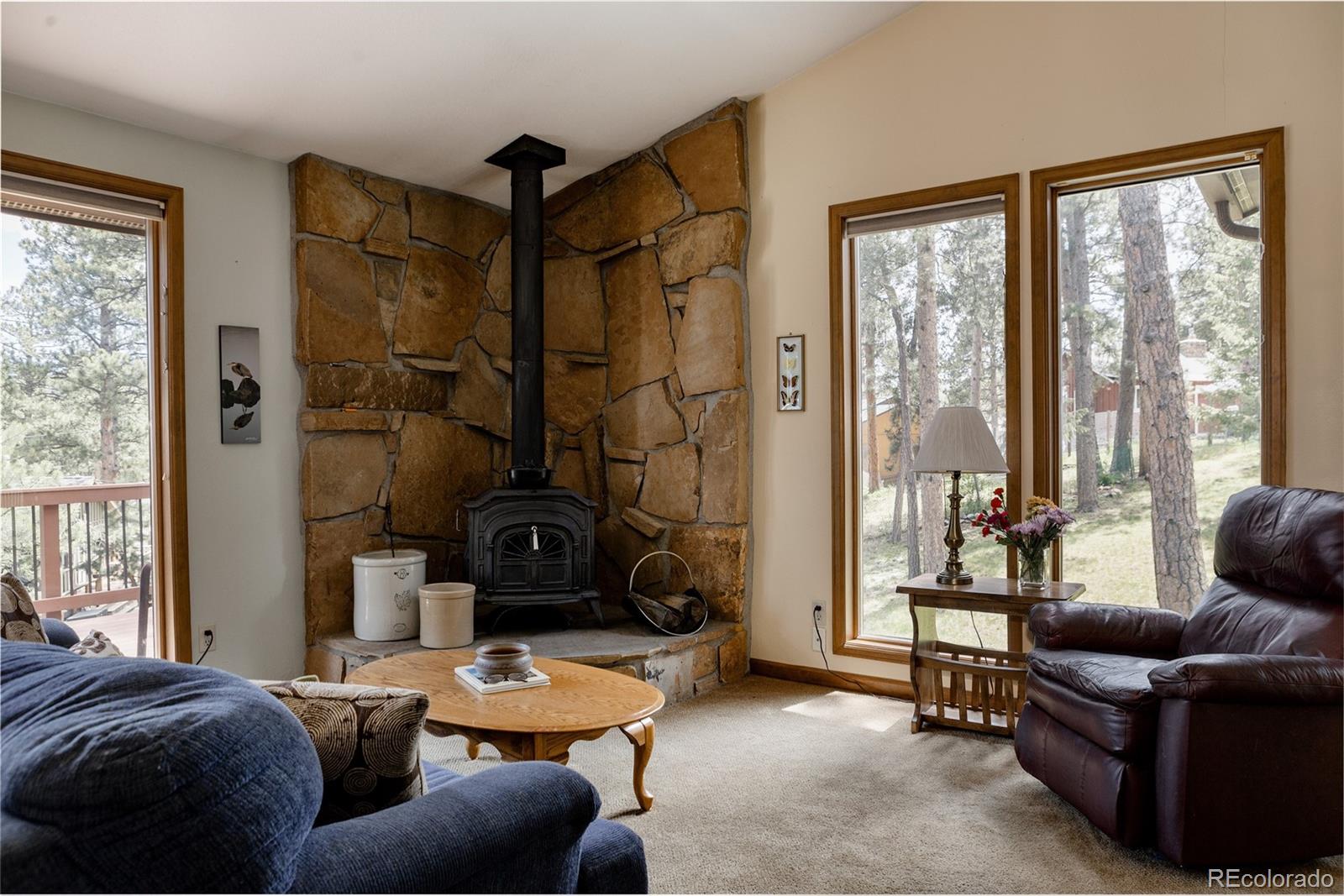 MLS Image #4 for 29101  drexel spur,evergreen, Colorado