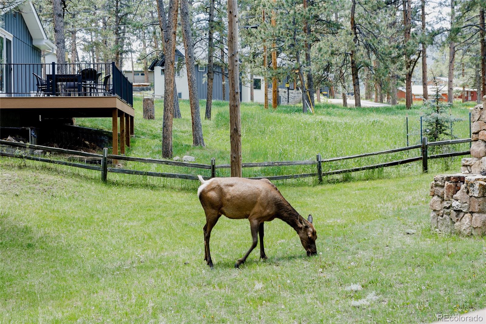 MLS Image #42 for 29101  drexel spur,evergreen, Colorado