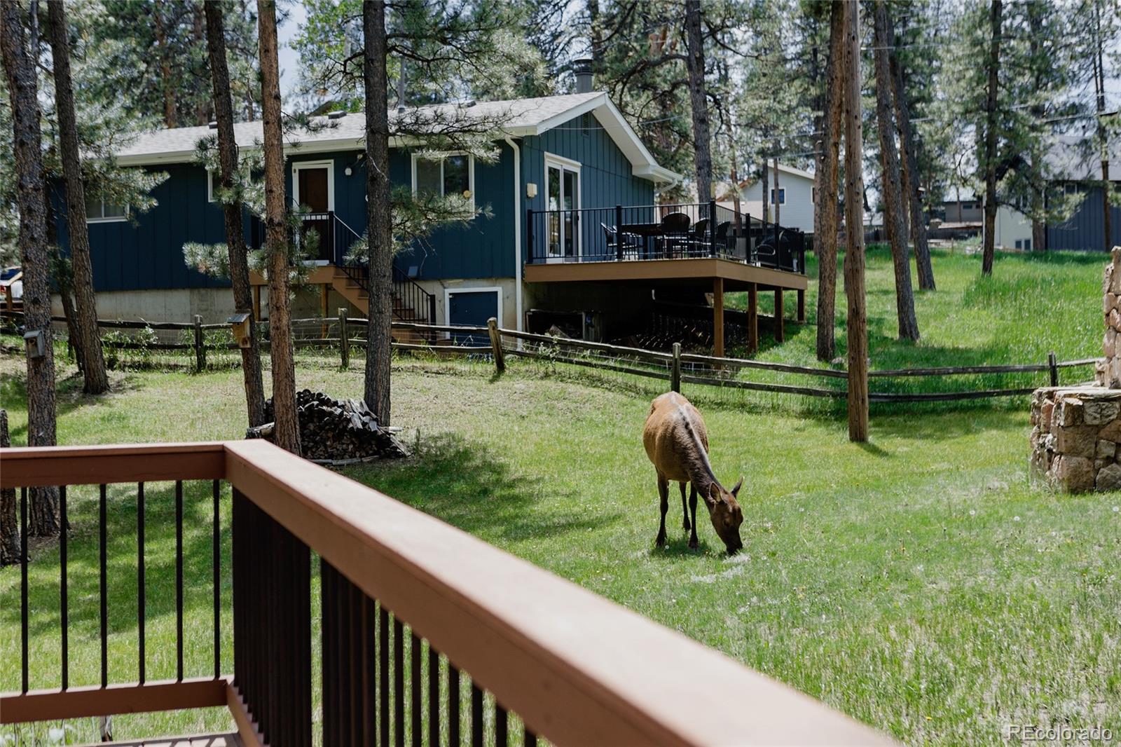 MLS Image #43 for 29101  drexel spur,evergreen, Colorado