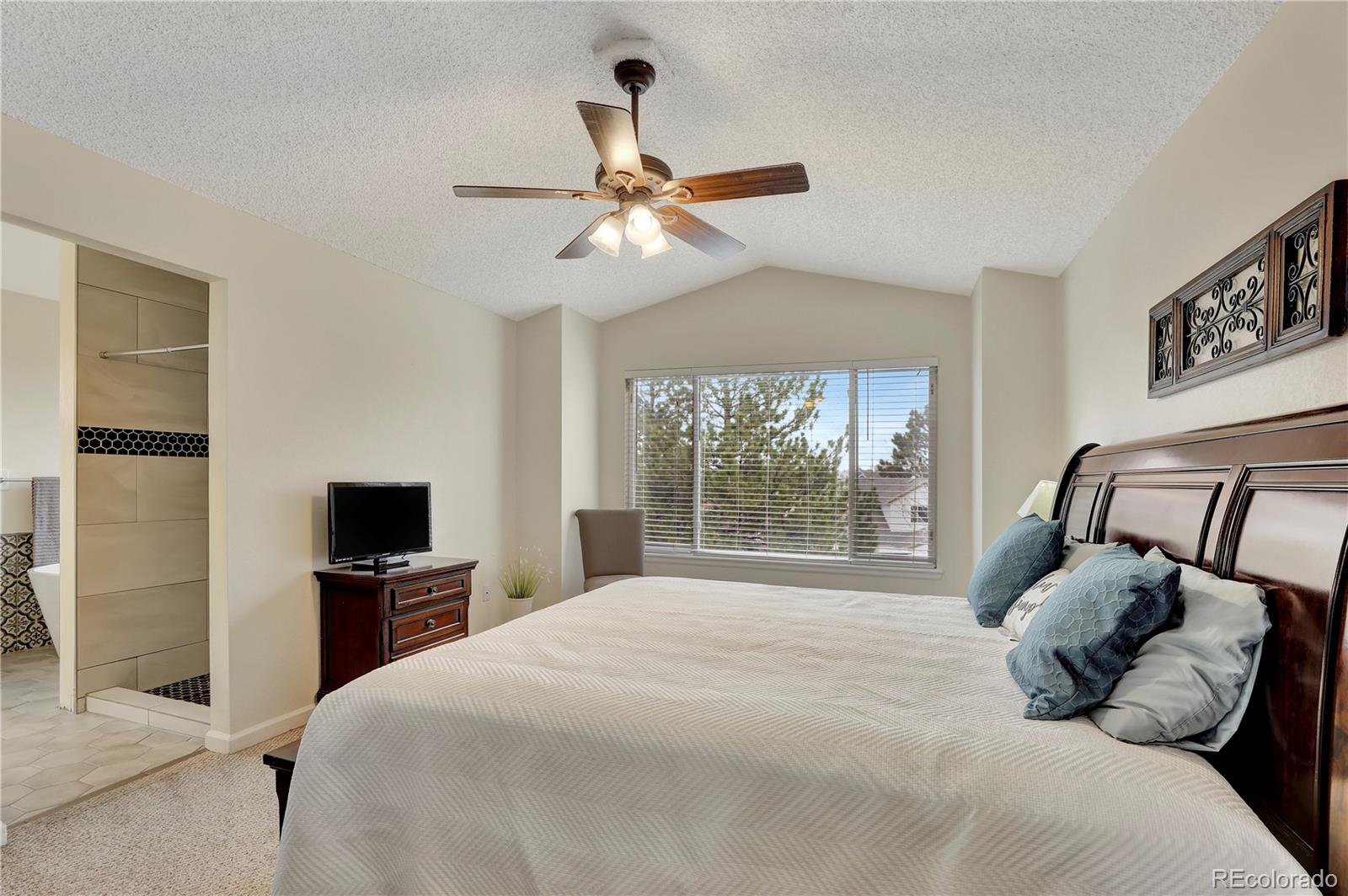 MLS Image #13 for 21541  unbridled avenue,parker, Colorado
