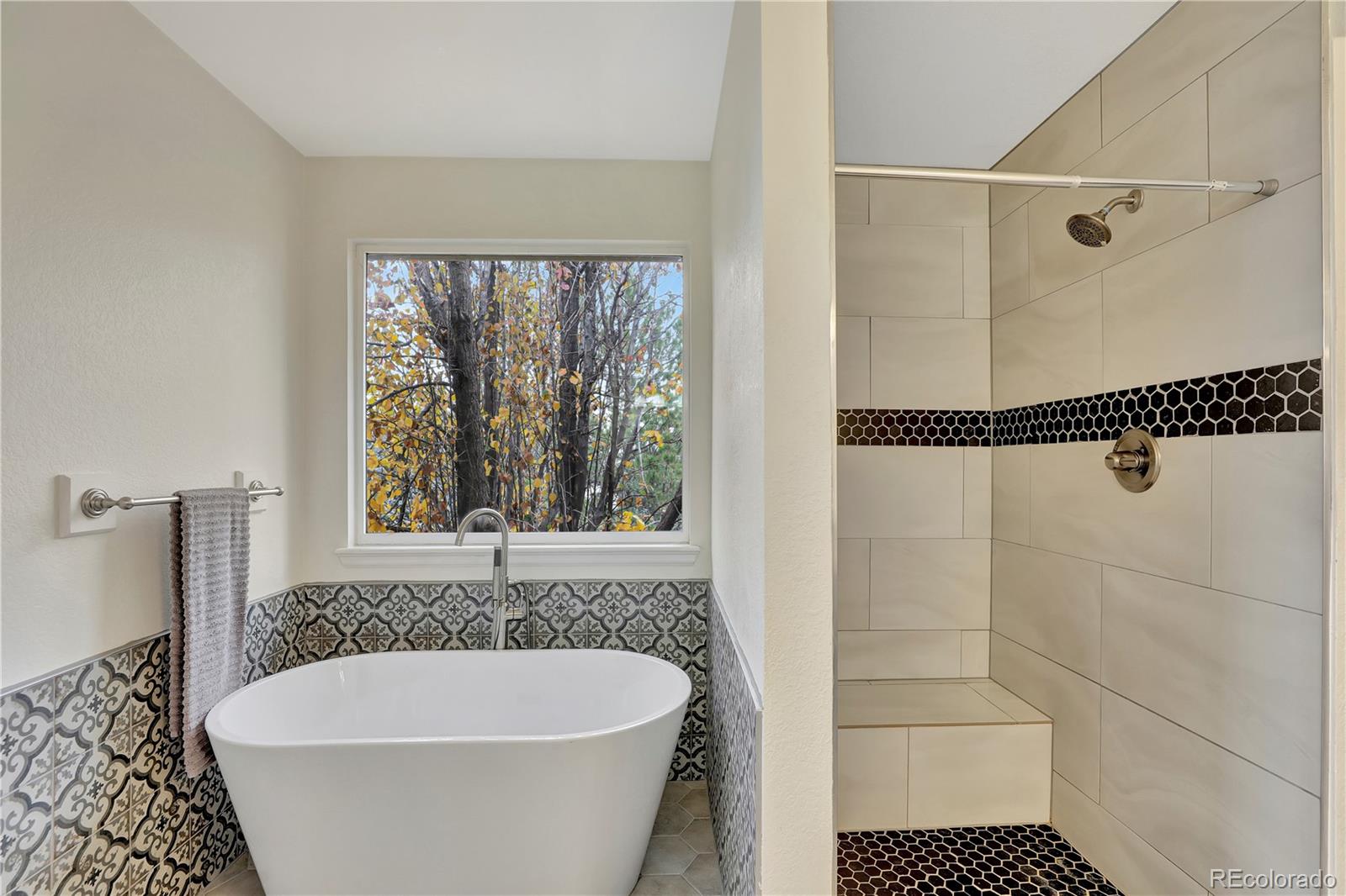 MLS Image #17 for 21541  unbridled avenue,parker, Colorado