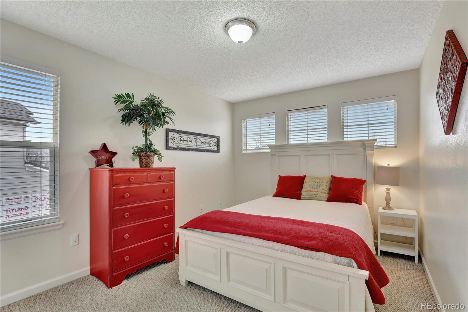 MLS Image #19 for 21541  unbridled avenue,parker, Colorado