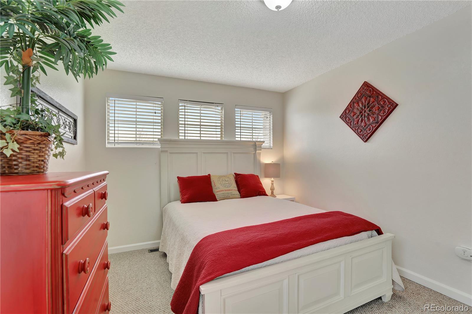 MLS Image #20 for 21541  unbridled avenue,parker, Colorado