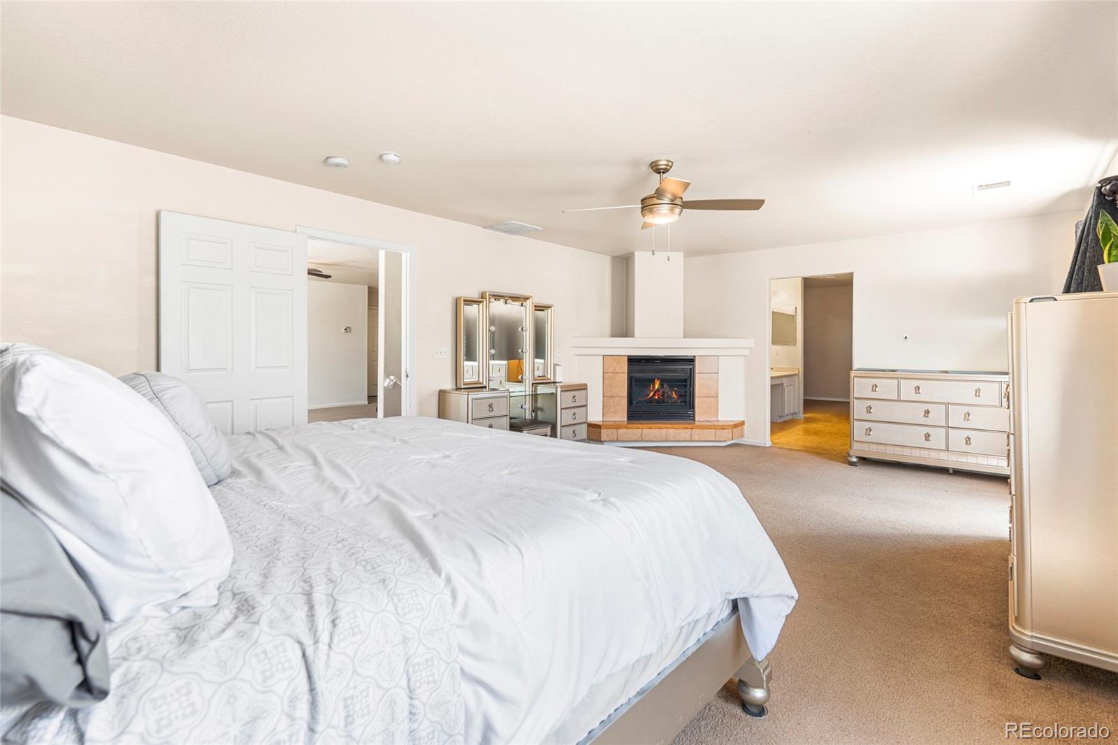 MLS Image #11 for 21354 e 51st avenue,denver, Colorado