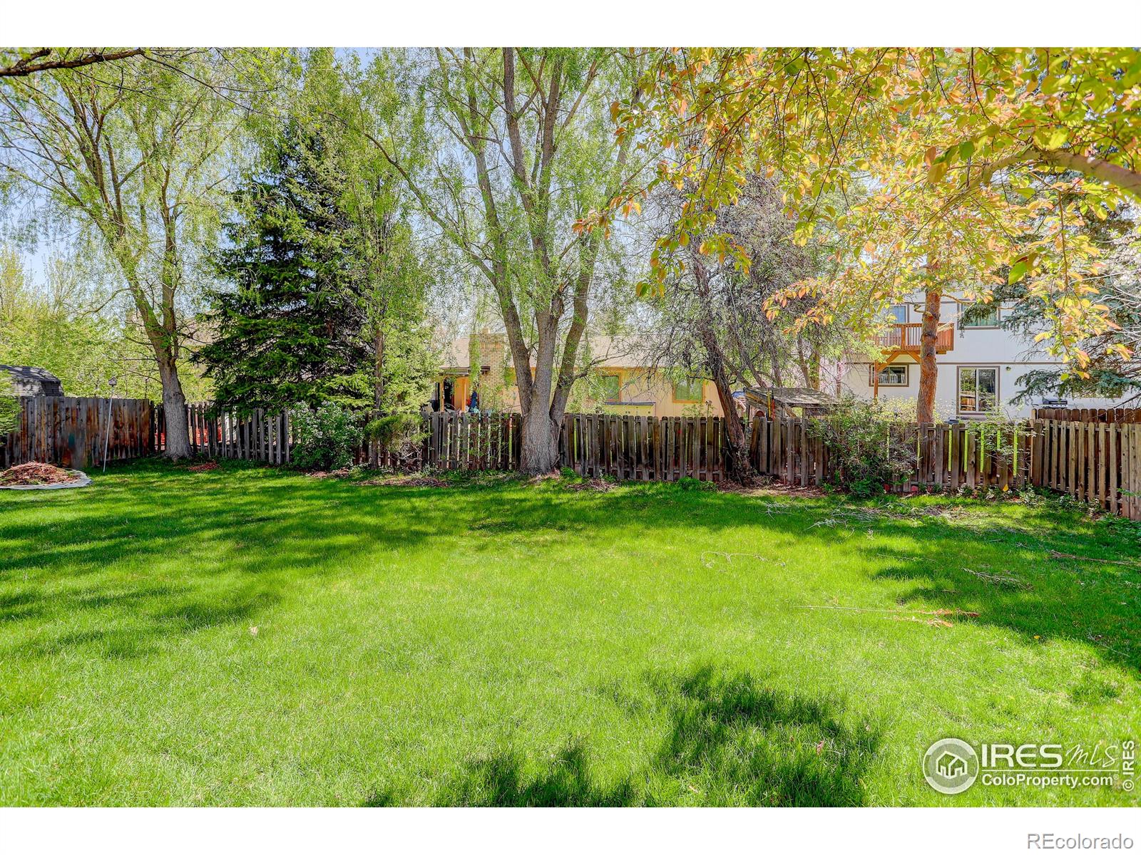 MLS Image #17 for 470  ash street,broomfield, Colorado