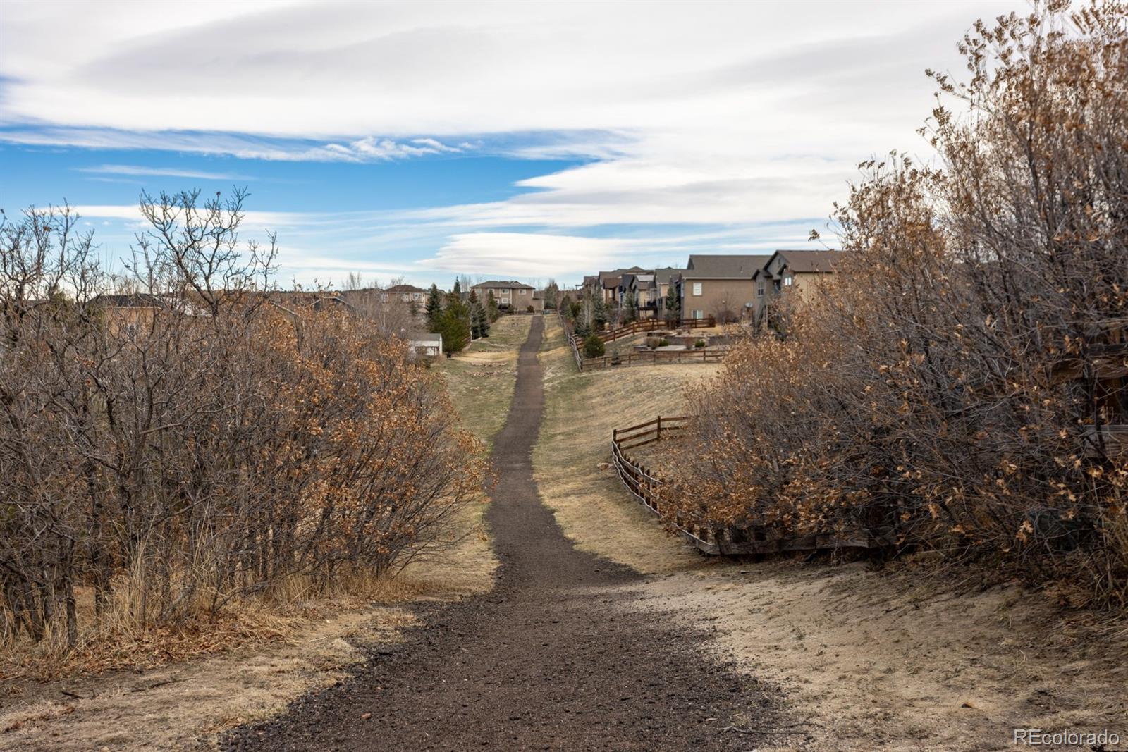 MLS Image #2 for 15653  split creek drive,monument, Colorado