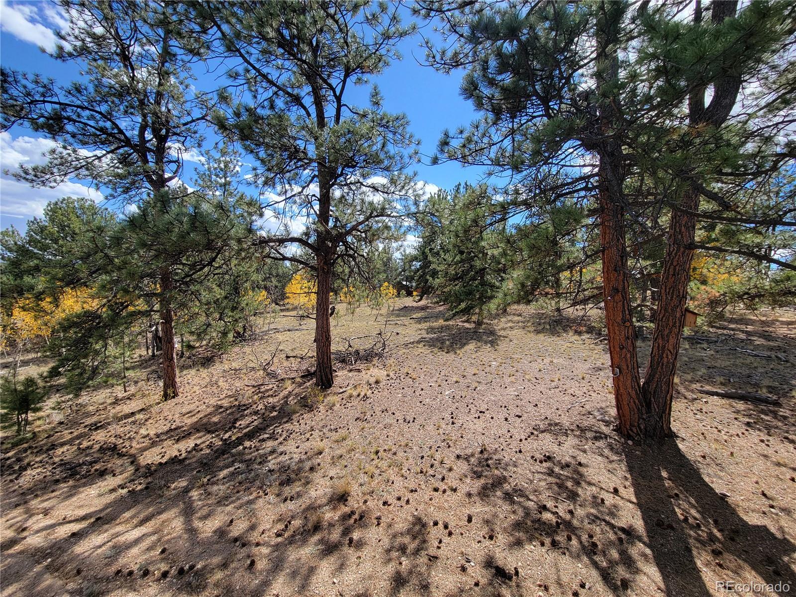 MLS Image #24 for 2115  yellowstone road ,hartsel, Colorado