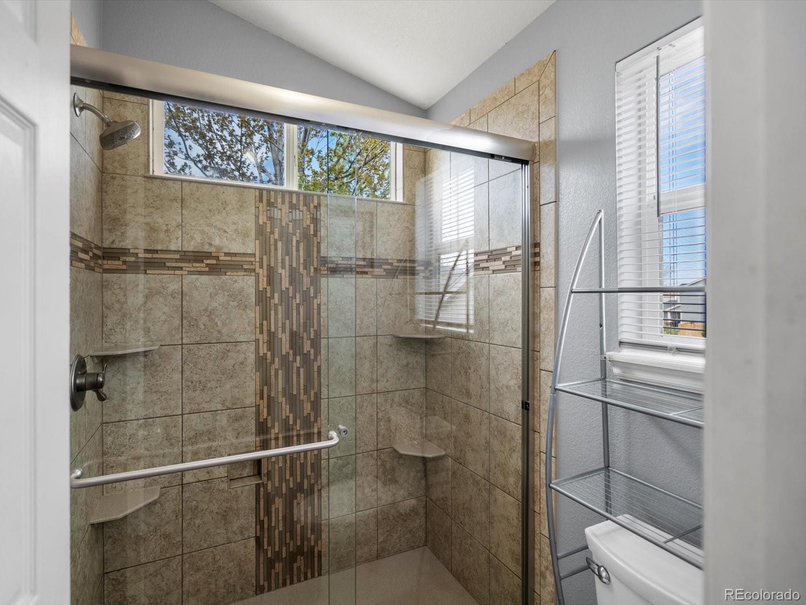 MLS Image #17 for 5261 s malta way,centennial, Colorado