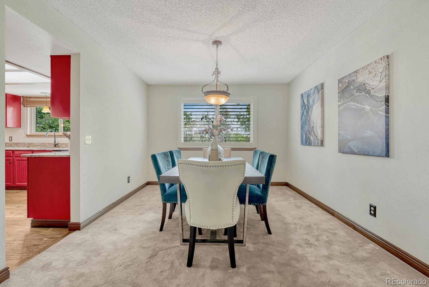MLS Image #10 for 302  northridge road,highlands ranch, Colorado