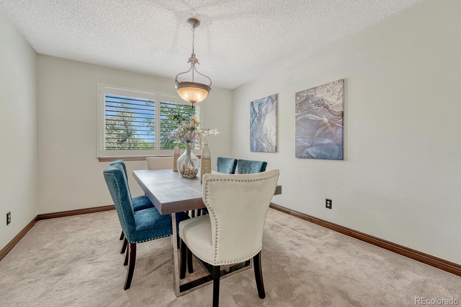 MLS Image #8 for 302  northridge road,highlands ranch, Colorado