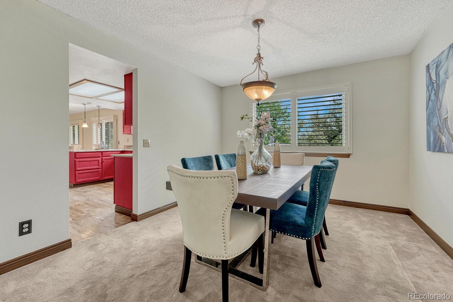 MLS Image #9 for 302  northridge road,highlands ranch, Colorado