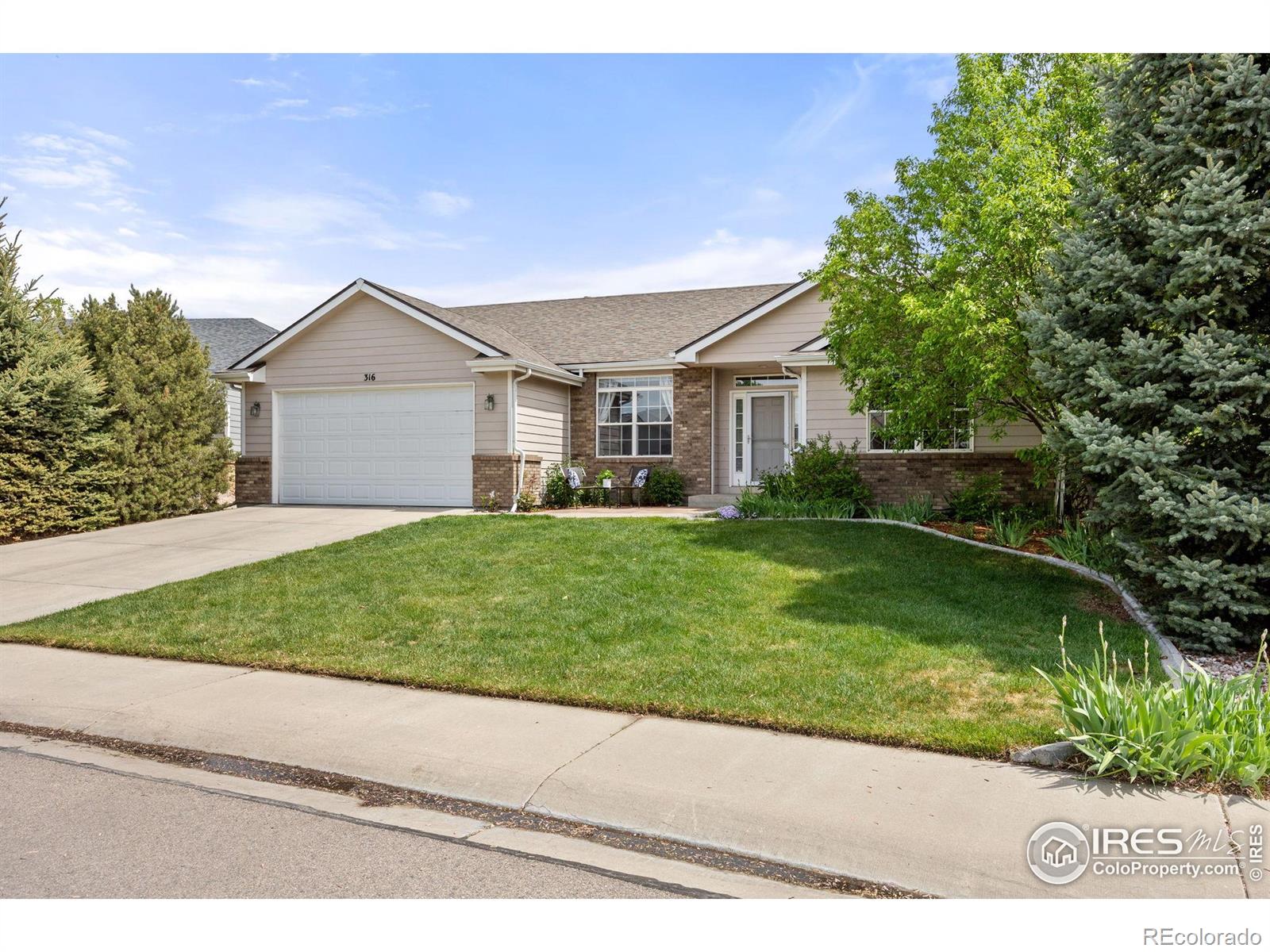 MLS Image #2 for 316  whitney bay ,windsor, Colorado