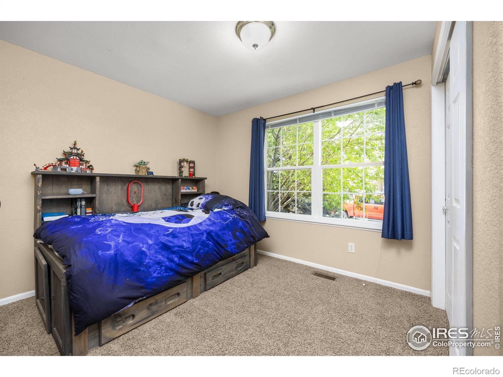 MLS Image #25 for 316  whitney bay ,windsor, Colorado
