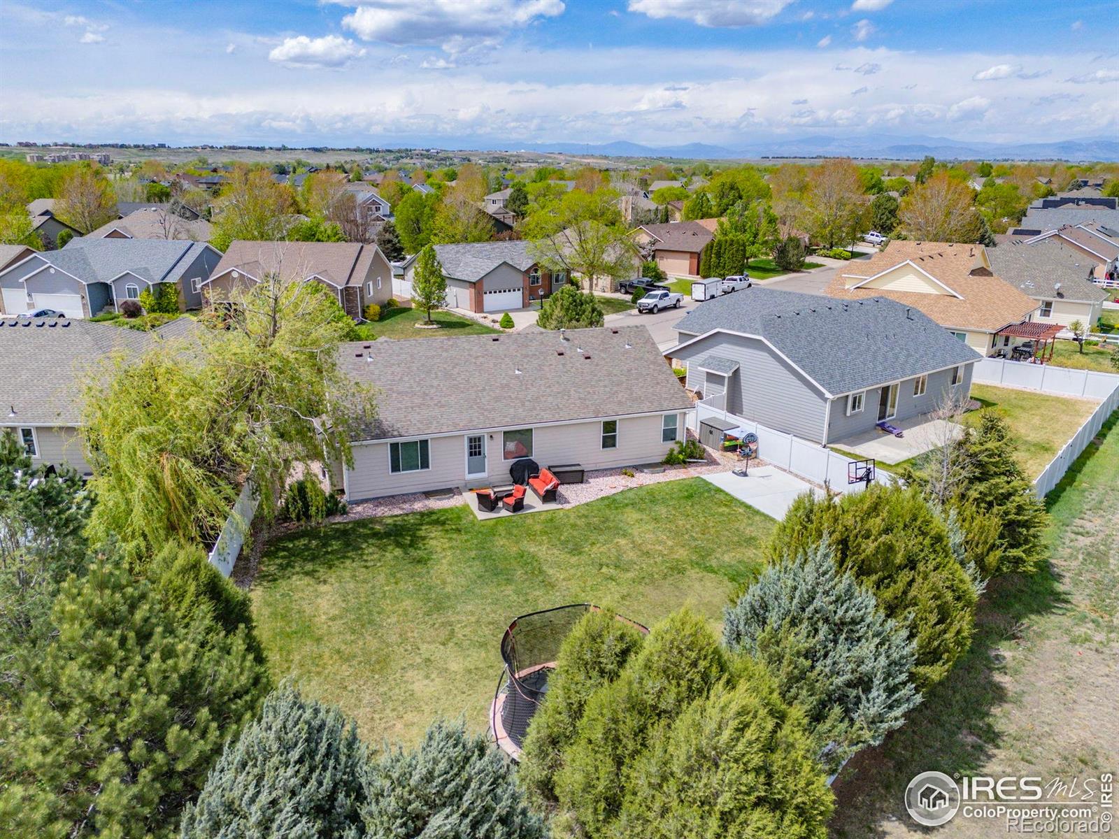 MLS Image #36 for 316  whitney bay ,windsor, Colorado