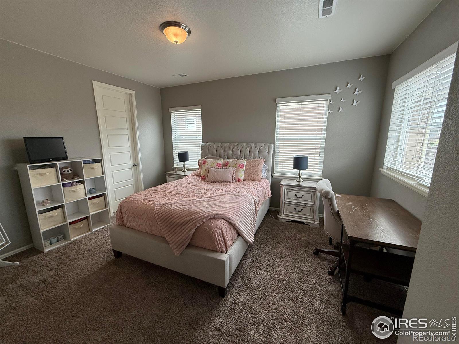 MLS Image #10 for 6111  story road,timnath, Colorado