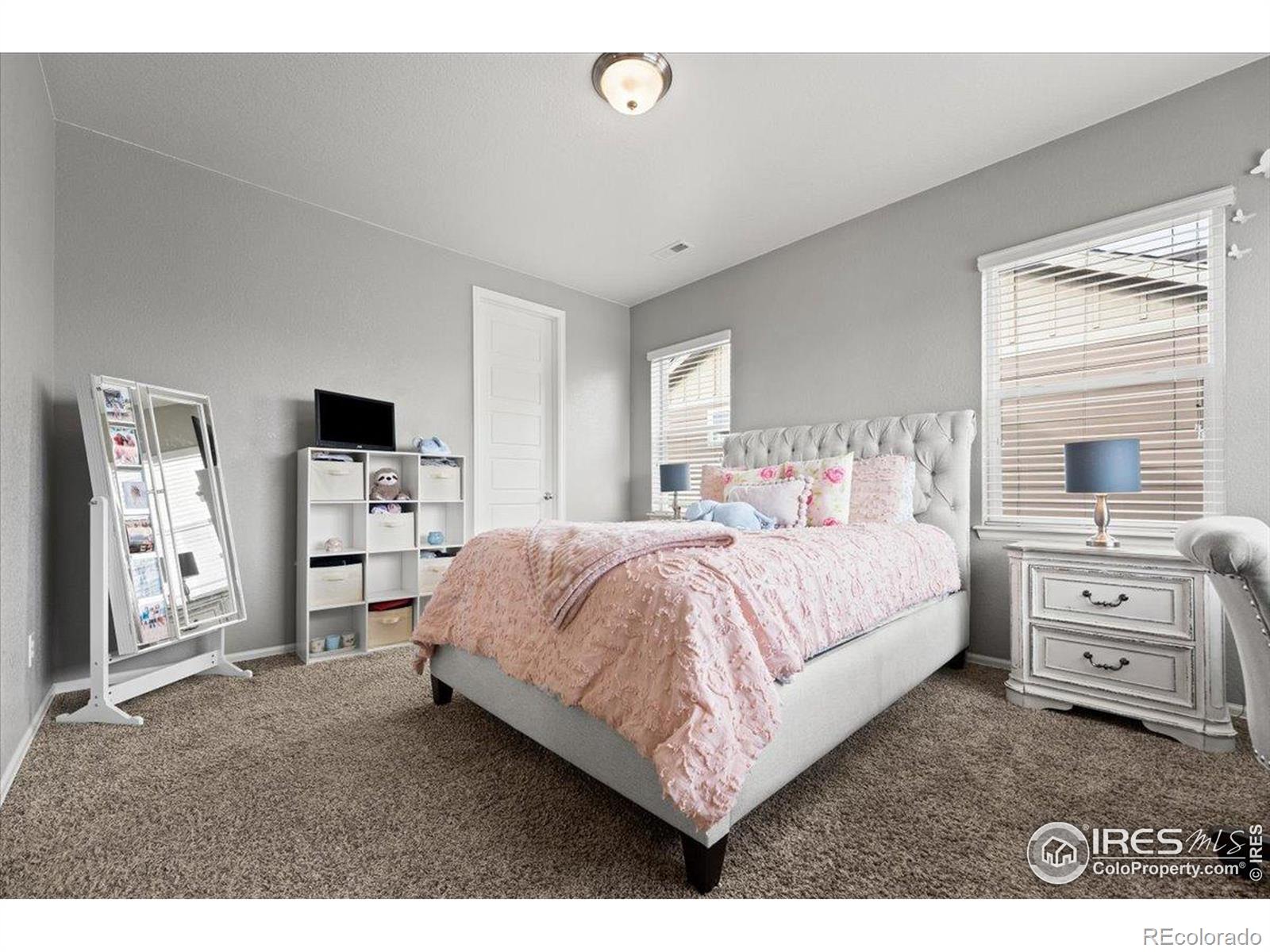 MLS Image #22 for 6111  story road,timnath, Colorado
