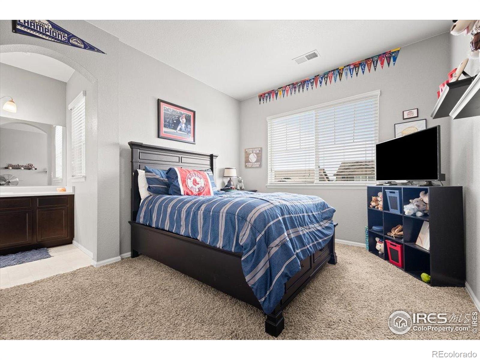 MLS Image #24 for 6111  story road,timnath, Colorado