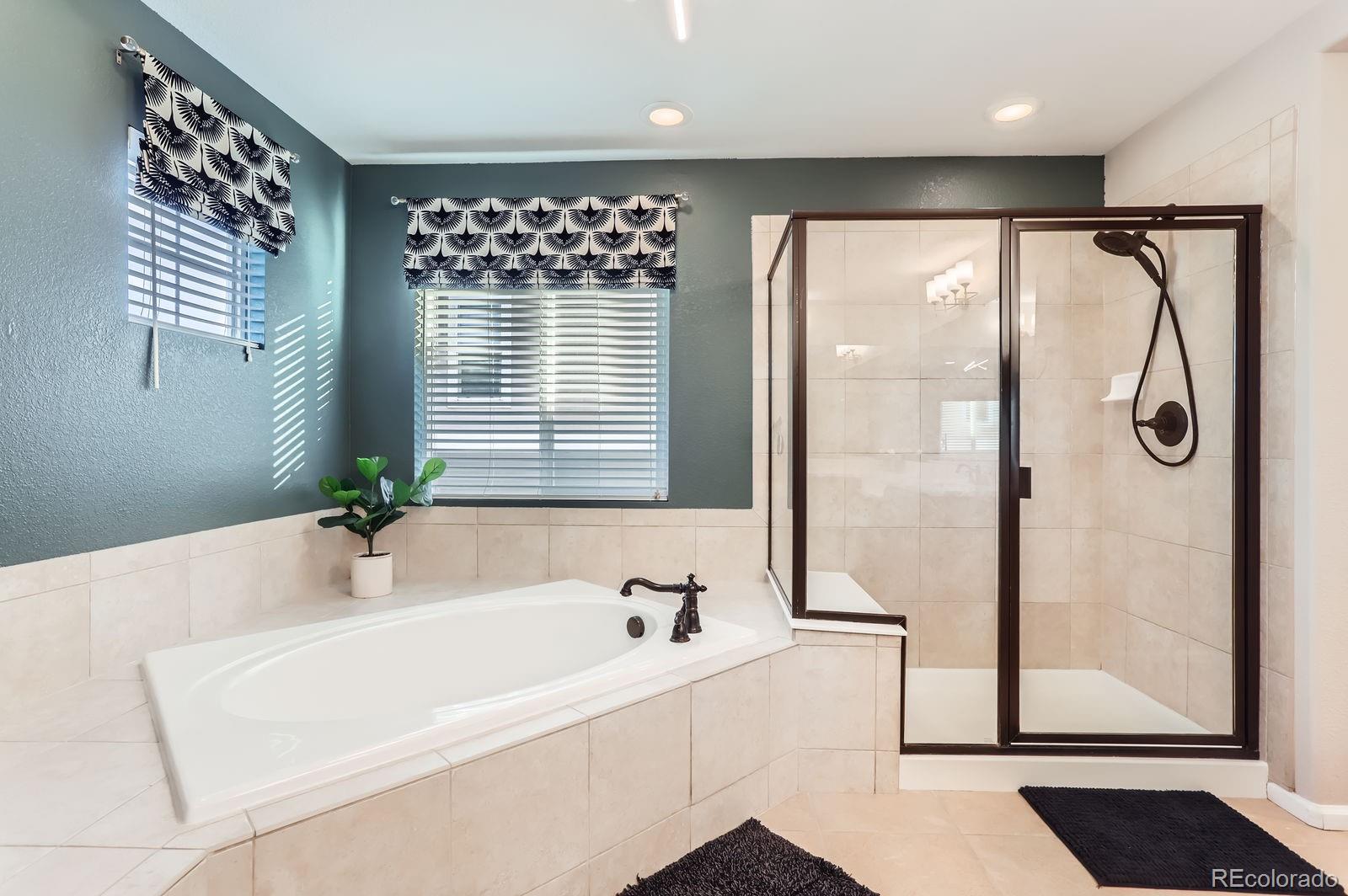 MLS Image #20 for 11013  valleybrook circle,highlands ranch, Colorado