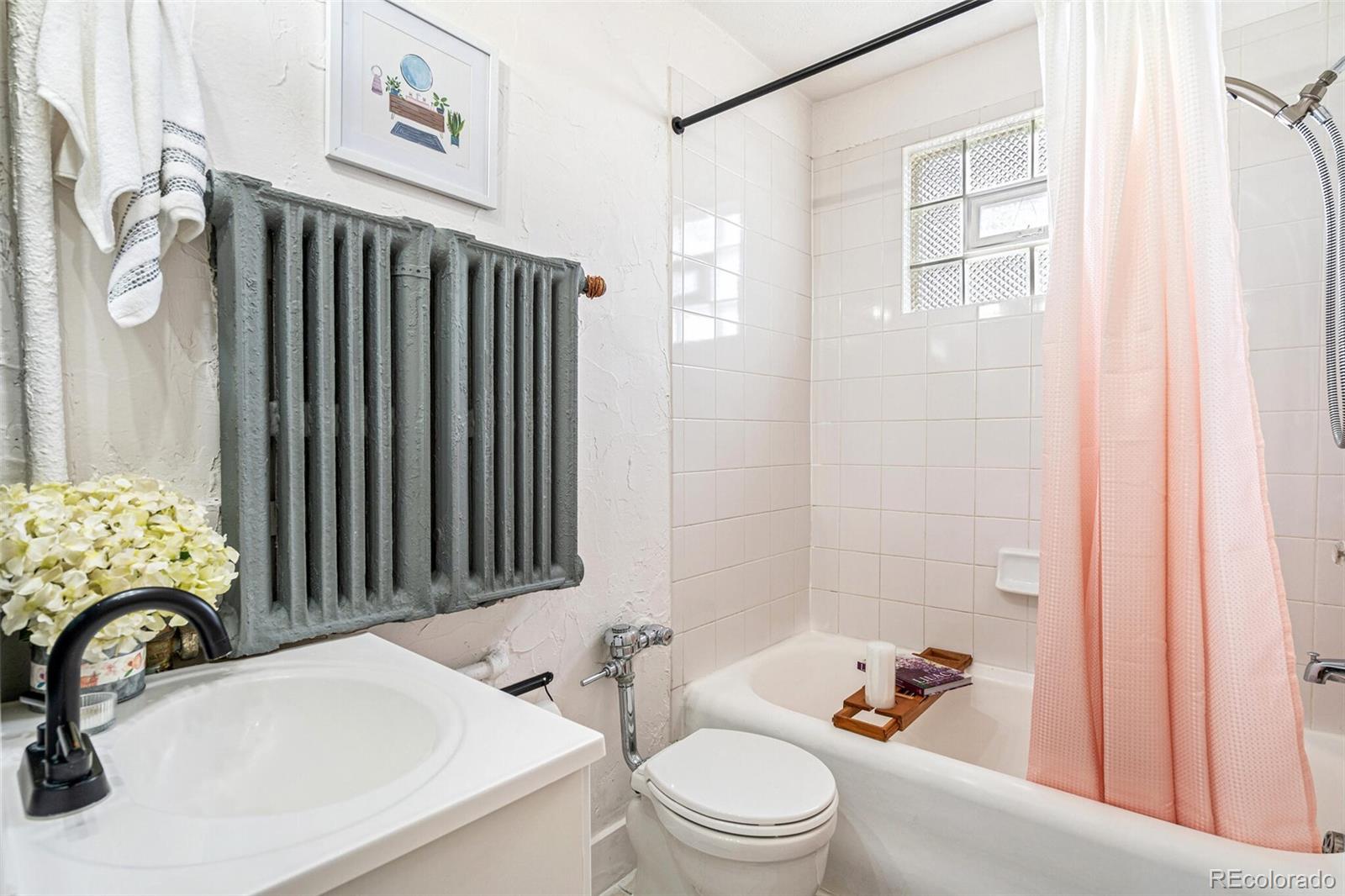 MLS Image #12 for 1024 e 14th avenue,denver, Colorado