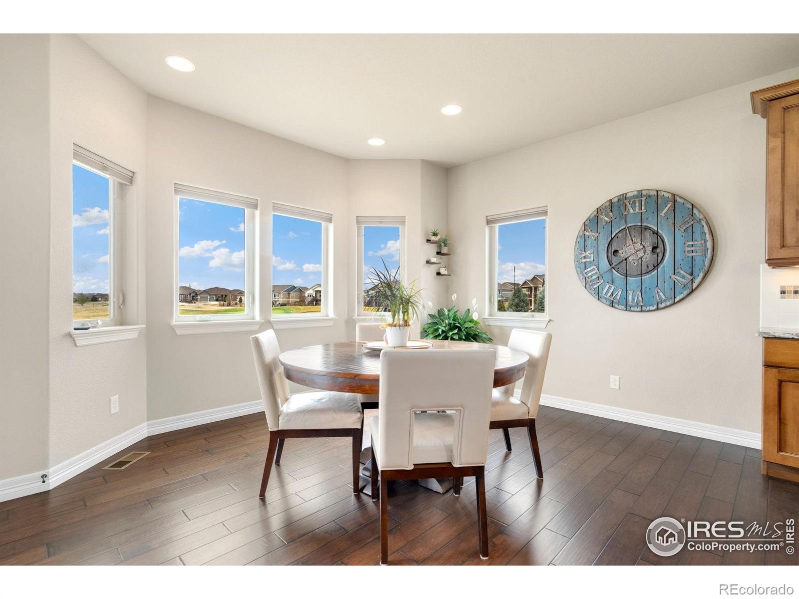 MLS Image #10 for 5954  black lion court,windsor, Colorado