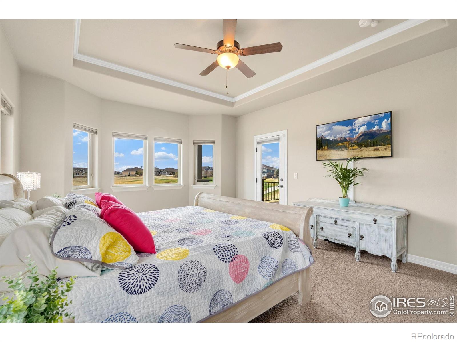 MLS Image #12 for 5954  black lion court,windsor, Colorado