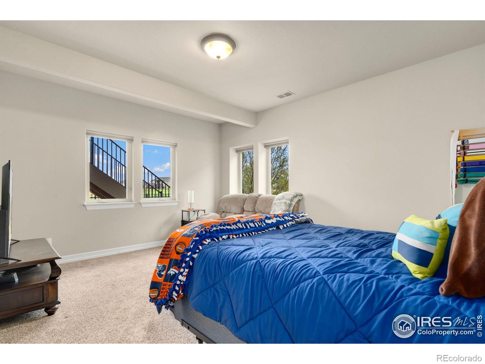MLS Image #23 for 5954  black lion court,windsor, Colorado
