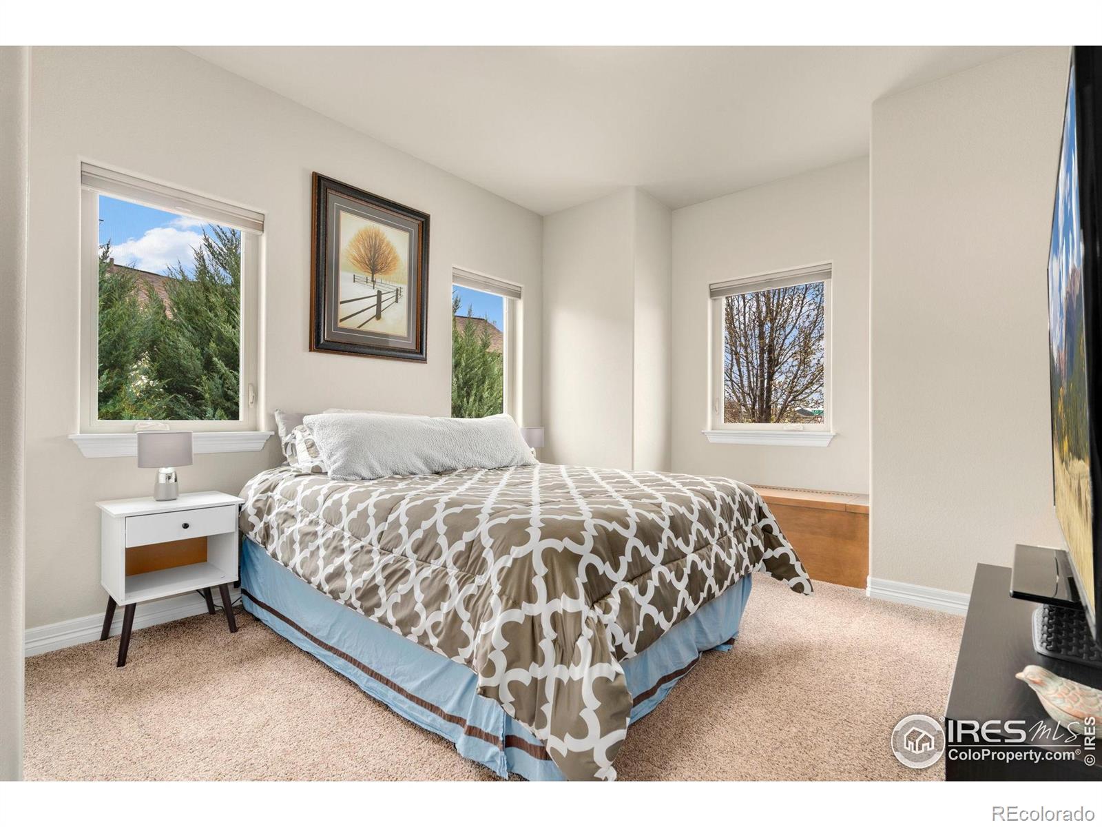 MLS Image #24 for 5954  black lion court,windsor, Colorado