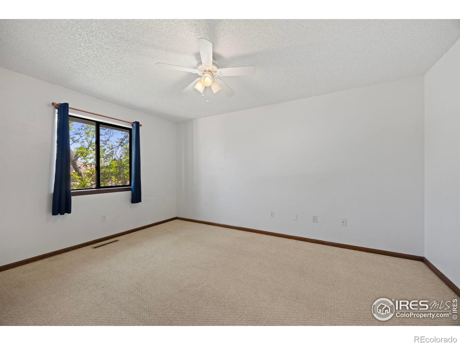 MLS Image #11 for 1465  peacock place,loveland, Colorado