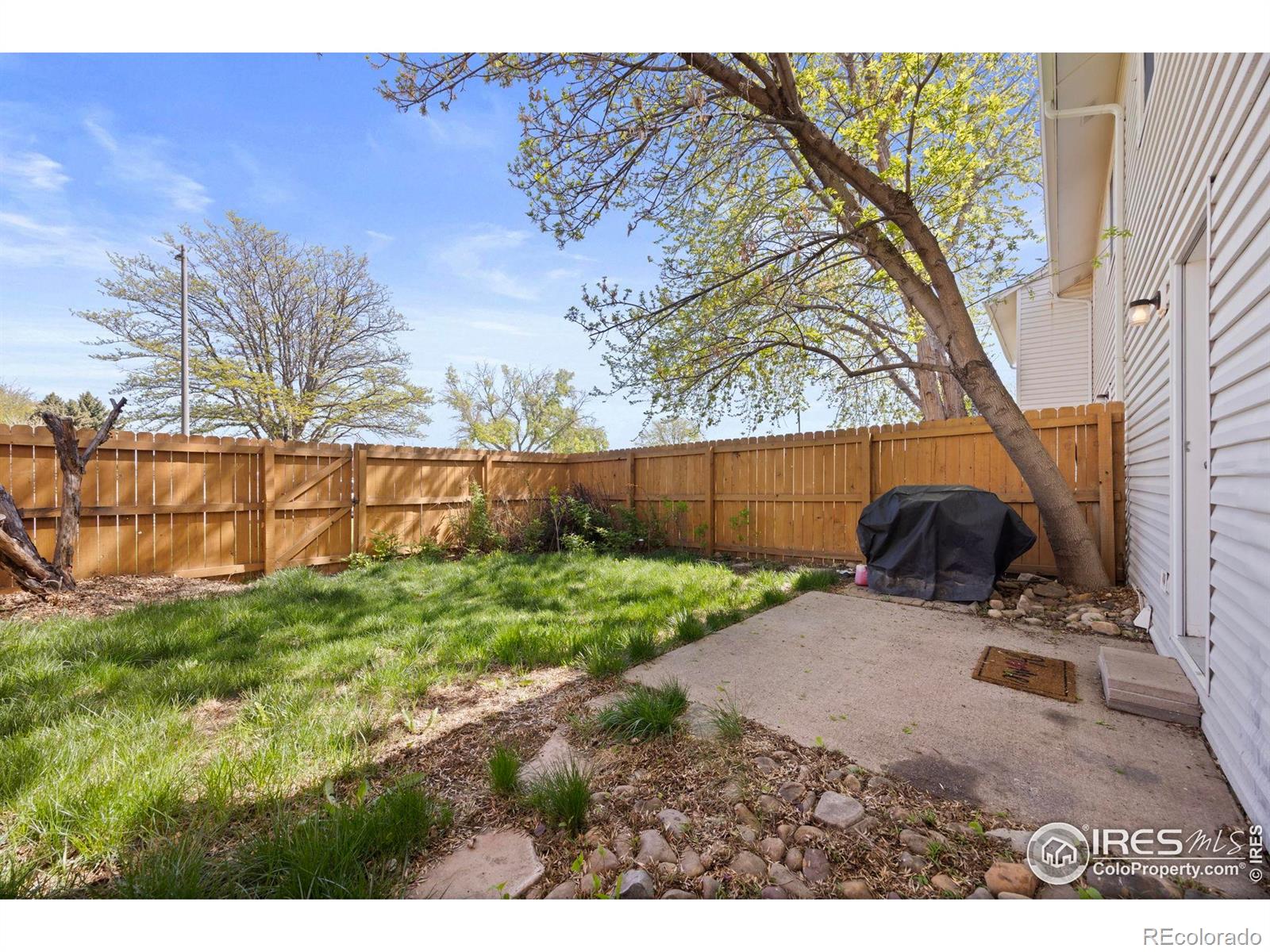 MLS Image #18 for 1465  peacock place,loveland, Colorado