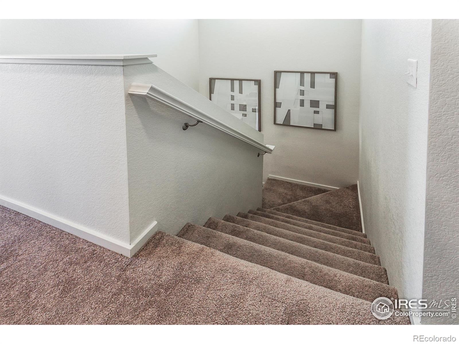 MLS Image #22 for 4901  autumn leaf drive,timnath, Colorado