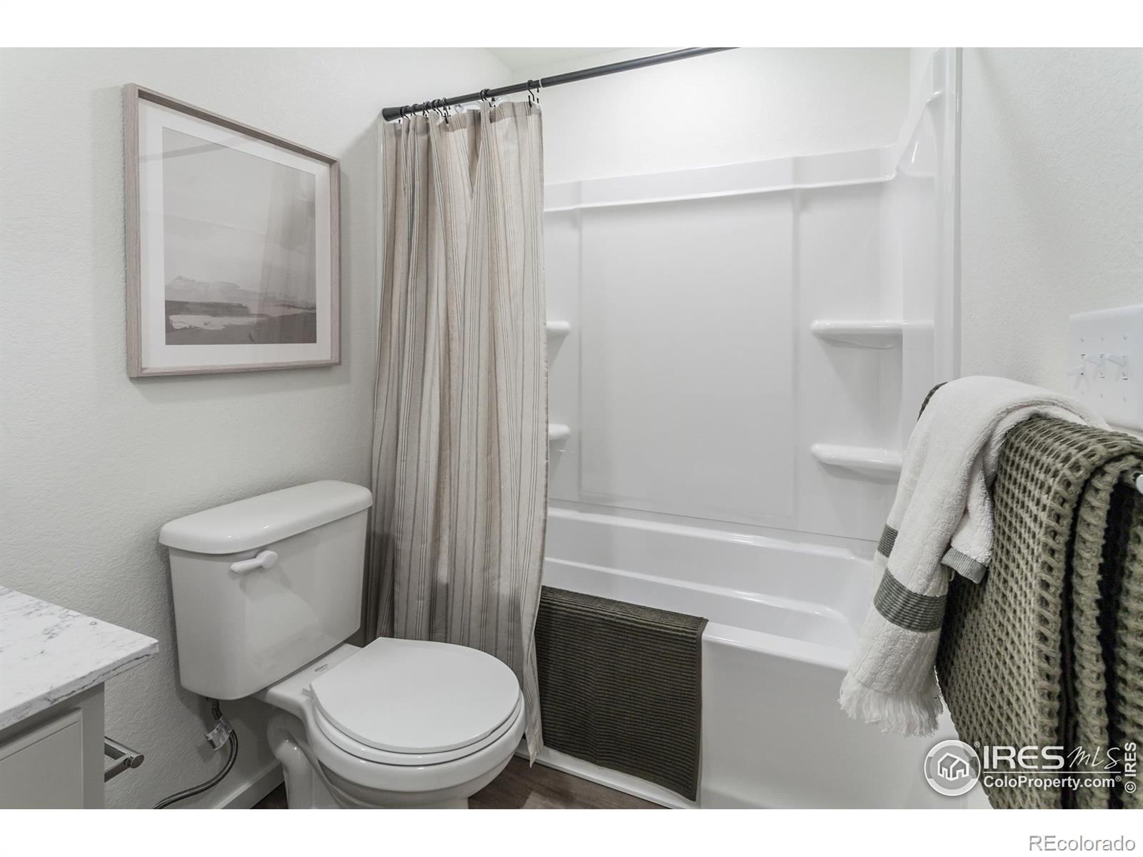 MLS Image #25 for 4901  autumn leaf drive,timnath, Colorado