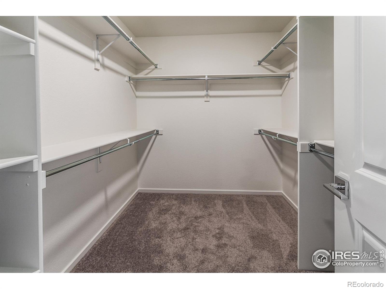 MLS Image #35 for 4901  autumn leaf drive,timnath, Colorado