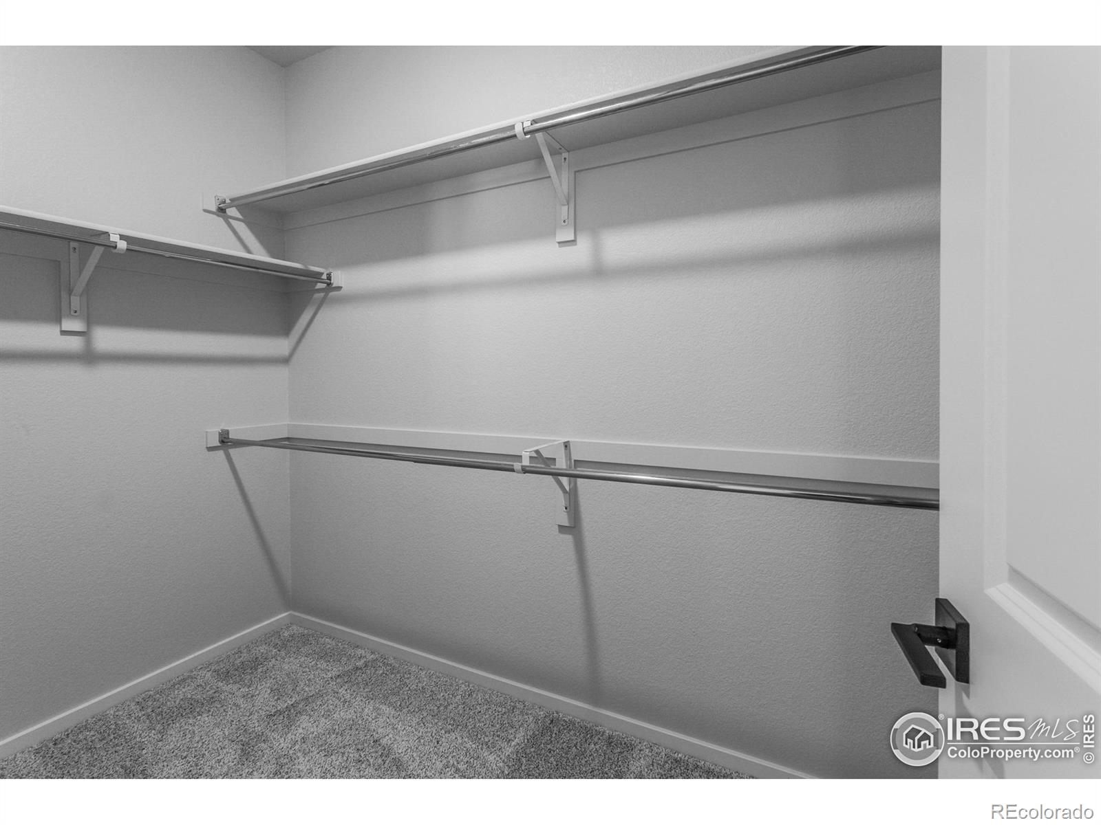 MLS Image #18 for 1821  bounty drive,windsor, Colorado