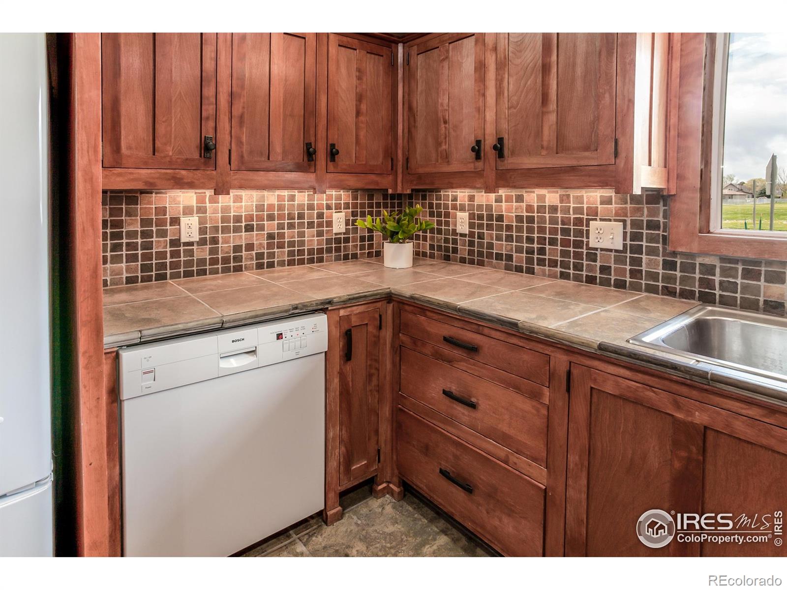 MLS Image #11 for 205  maple court,windsor, Colorado