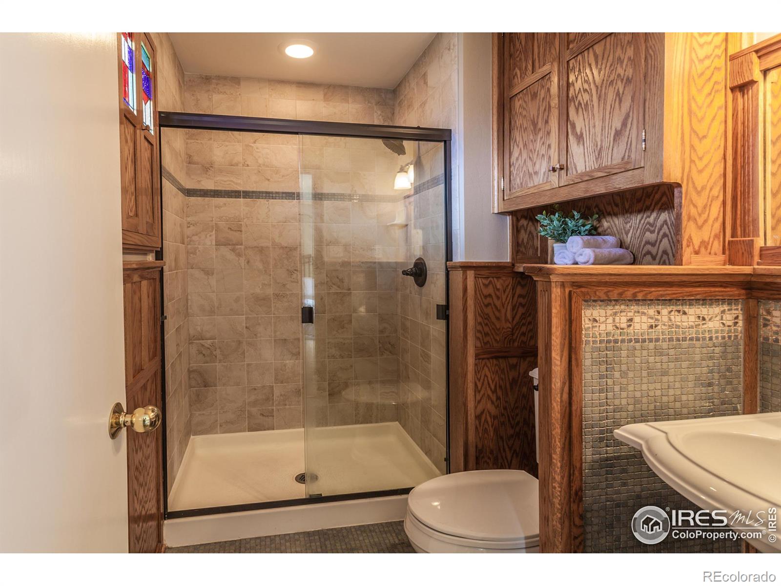 MLS Image #20 for 205  maple court,windsor, Colorado