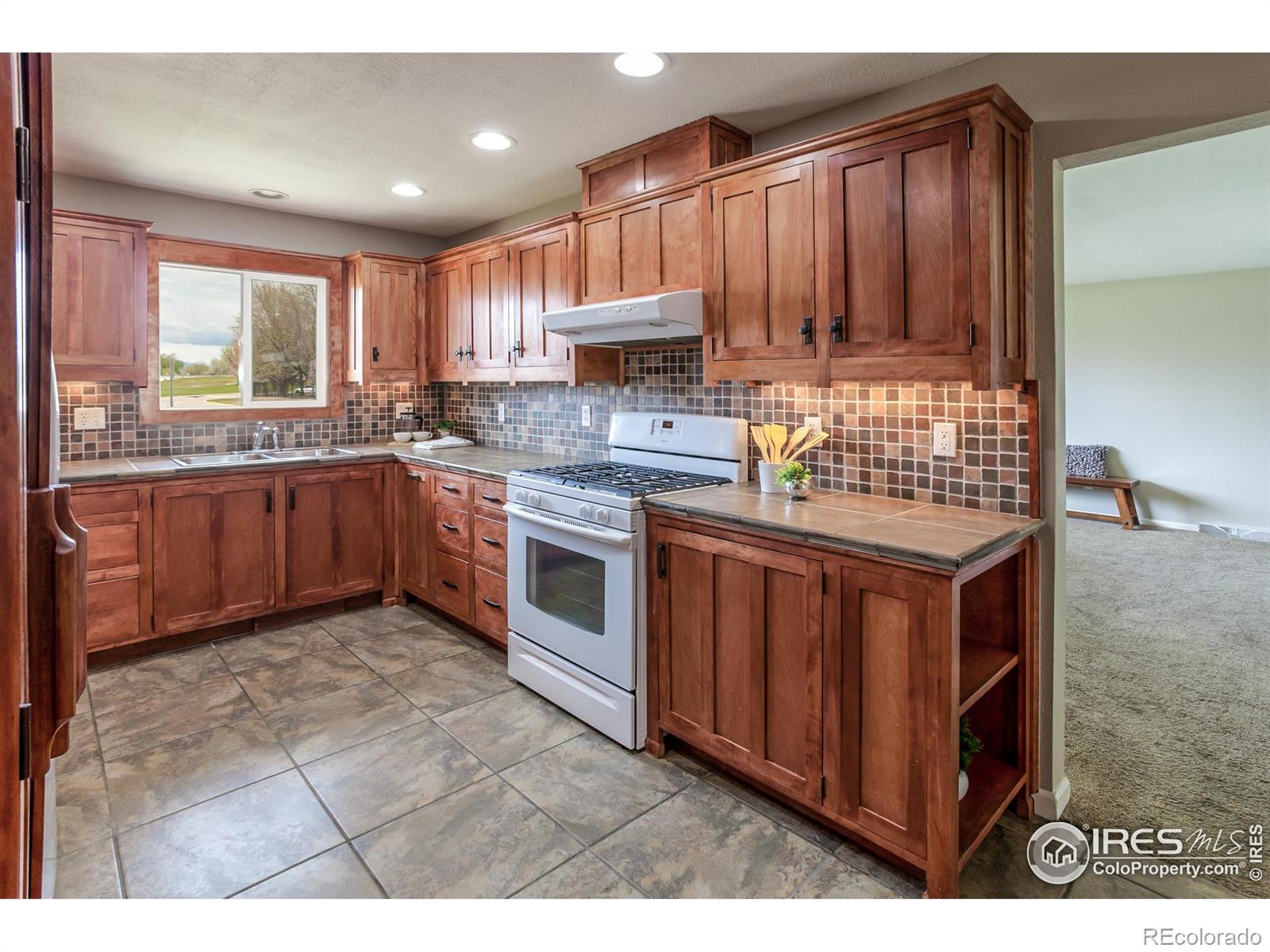 MLS Image #8 for 205  maple court,windsor, Colorado
