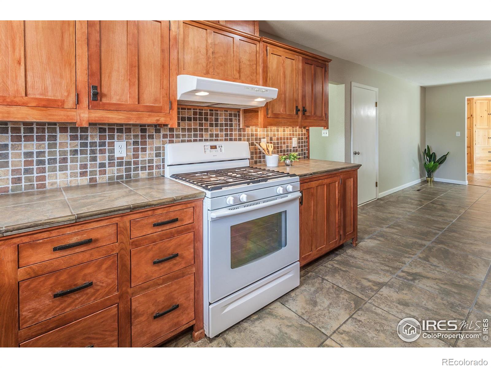 MLS Image #9 for 205  maple court,windsor, Colorado