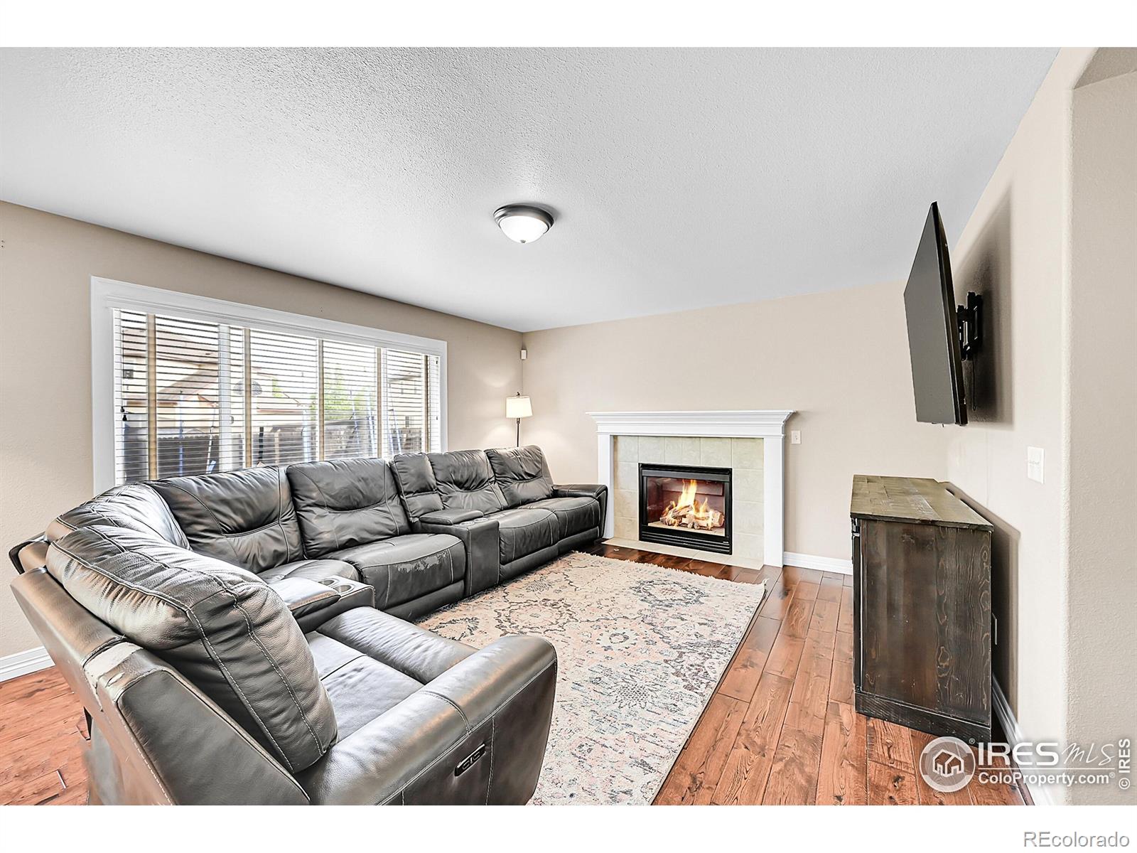 MLS Image #14 for 1204  ptarmigan drive,longmont, Colorado