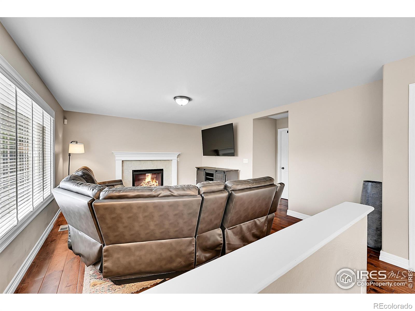 MLS Image #18 for 1204  ptarmigan drive,longmont, Colorado