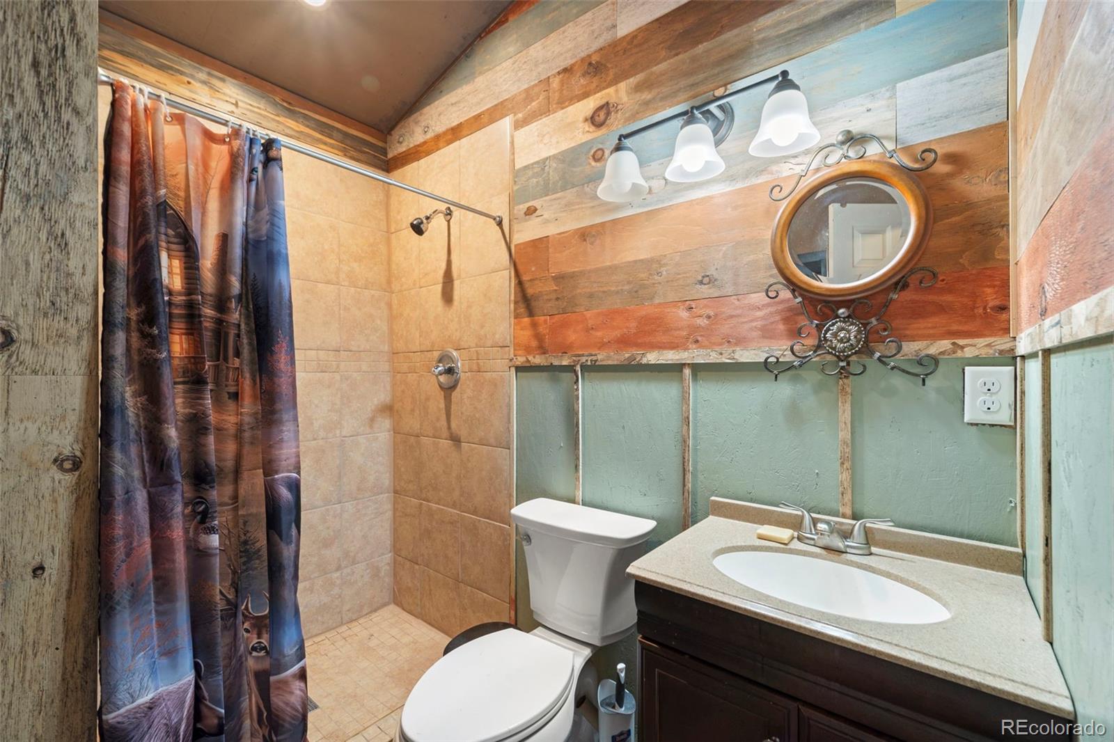 MLS Image #13 for 161  highland circle,rye, Colorado