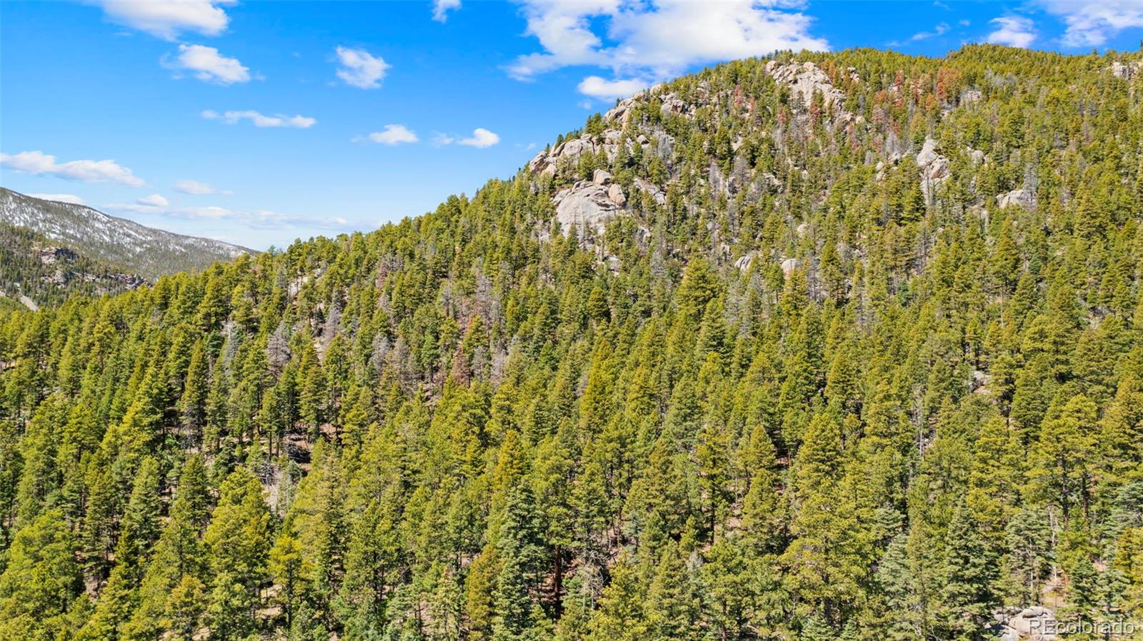 MLS Image #7 for 161  highland circle,rye, Colorado
