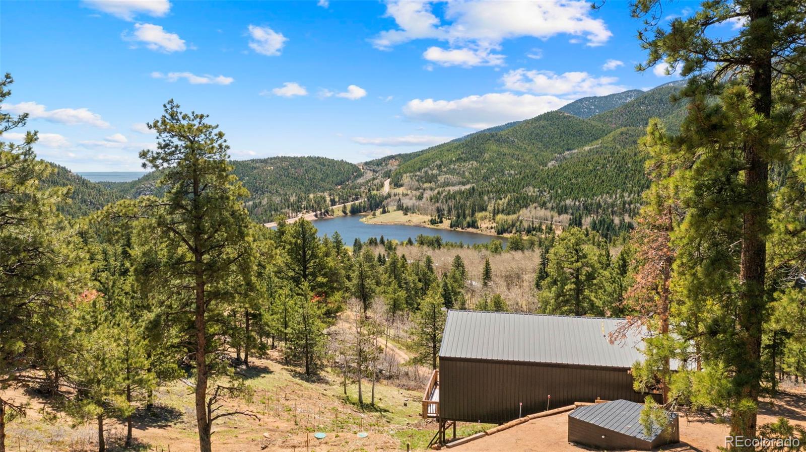MLS Image #8 for 161  highland circle,rye, Colorado