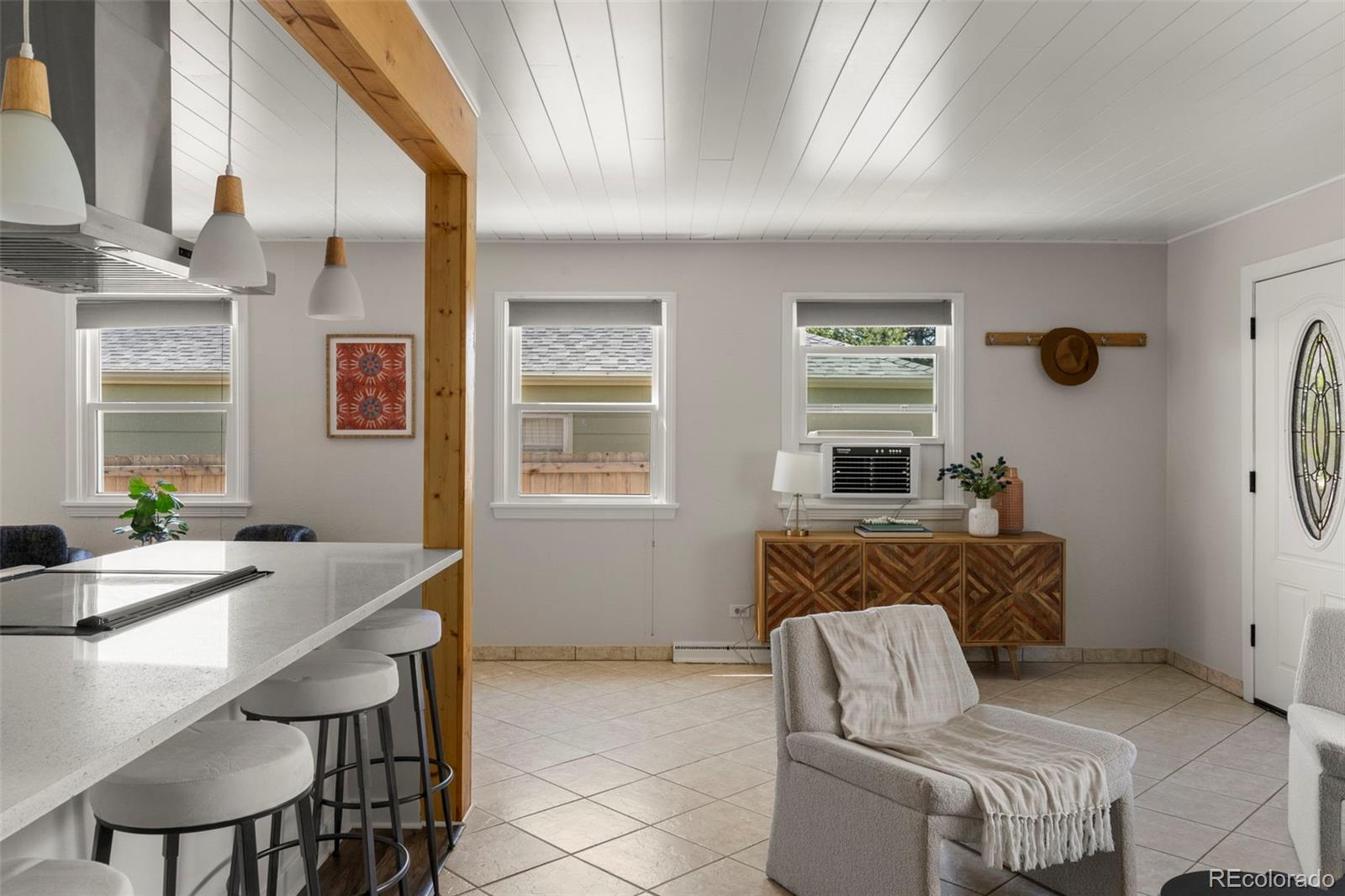 MLS Image #3 for 46 s perry street,denver, Colorado