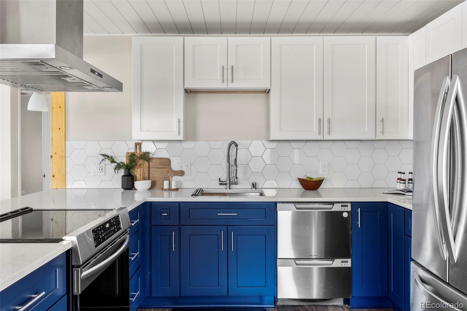 MLS Image #7 for 46 s perry street,denver, Colorado